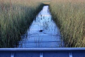 Boat on narrow waterway through tall grass.