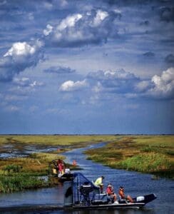 Airboats navigating through a scenic marshland.