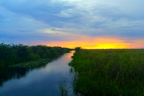Everglades the river of grass adventures