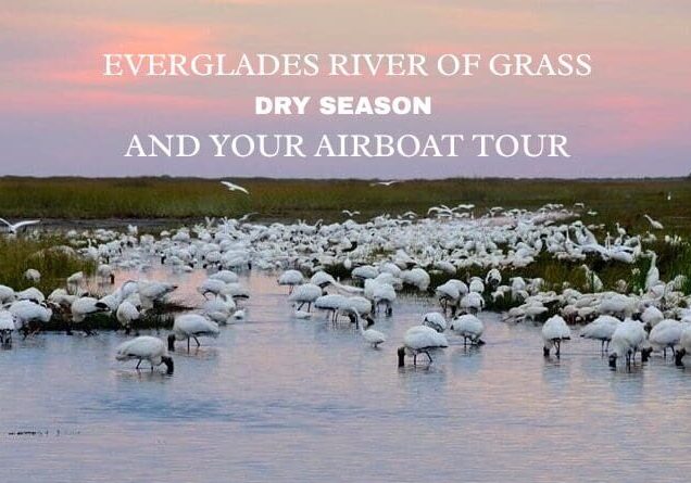 EVERGLADES RIVER OF GRASS (1)