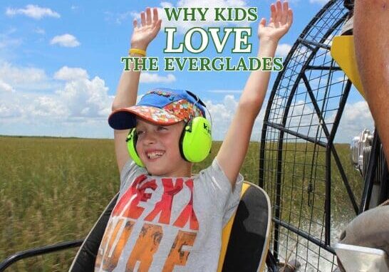 WHY KIDS LOVE THE EVERGLADES